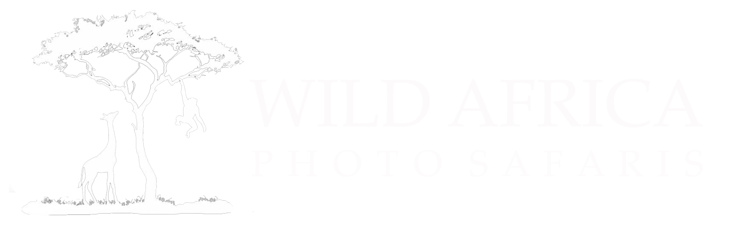WILD AFRICA | Photo Safaris
